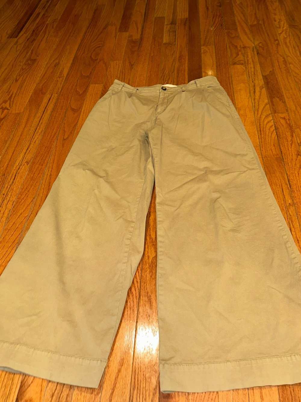 Anthropologie pleated super wide leg trousers